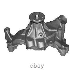 1966-99 Bbc Big Block Chevy V8 Cast Iron Water Pump Long 396 402 427 454 496