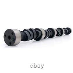 CHEVY BBC 454 CYLINDER HEAD KIT With COMP CAM 11-602-4 BIG MUTHA THUMPR 243/257