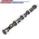 Elgin E-1028-p Small Block Chevy Sbc 224/224 327 350 383 Street Performance Cam