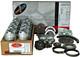 Engine Rebuild Kit For 1993-1995 Chevrolet Sbc Gm 350 5.7l Withflat Top Pistons