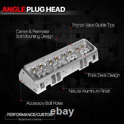 Fits Chevy Small Block SBC Engines 302-400 Aluminum Bare Angled Cylinder Head