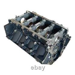 GM Chevrolet GMC LS LY2 L20 LY5 LMG Gen IV 5.3L 4.8L Cast Iron Engine Bare Block