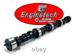 Stage 2 HP RV Camshaft for 1969-1995 Chevrolet SBC 5.7L 305 350 443/465 Lift