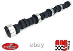 Stage 2 HP RV Camshaft for 1969-1995 Chevrolet SBC 5.7L 305 350 443/465 Lift