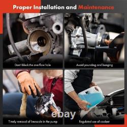 Pompe à eau courte en aluminium satin A-Premium pour moteur W à gros blocs Chevy